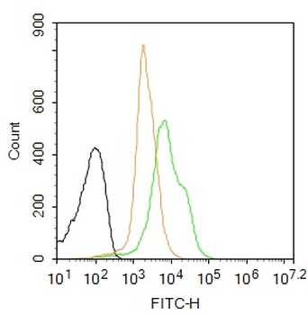 FGFR2 Rabbit Polyclonal Antibody (BF488)
