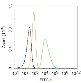 FGFR2 Rabbit Polyclonal Antibody (BF488)