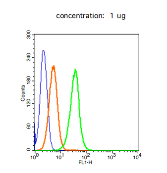 EPOR Rabbit Polyclonal Antibody (BF488)
