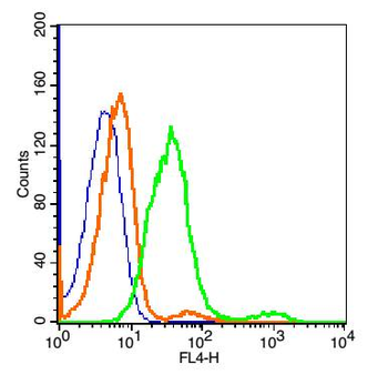 CD200R Rabbit Polyclonal Antibody