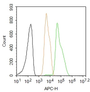 SOX2 Rabbit Polyclonal Antibody (BF647)