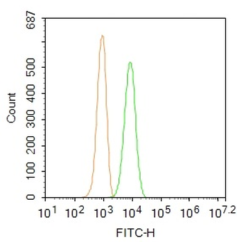 CK18 Rabbit Polyclonal Antibody (BF488)
