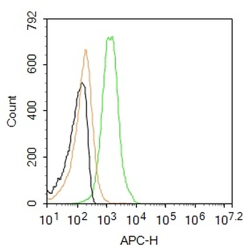 KDEL Rabbit Polyclonal Antibody (BF647)