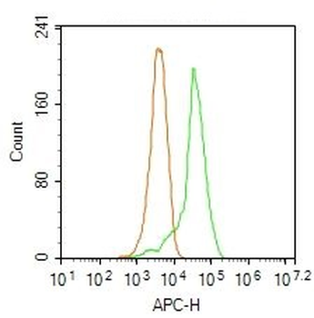 KDEL Rabbit Polyclonal Antibody (BF647)