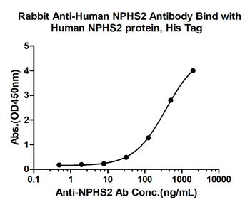 NPHS2 Rabbit Polyclonal Antibody