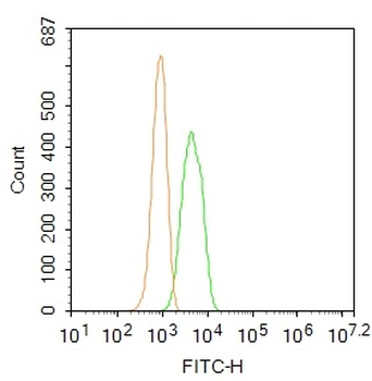ADRB2 Rabbit Polyclonal Antibody (BF488)