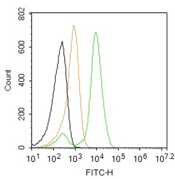 ADRB2 Rabbit Polyclonal Antibody (BF488)