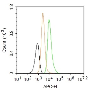 CD44 Rabbit Polyclonal Antibody (BF647)