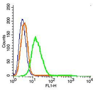 GPR55 Rabbit Polyclonal Antibody (BF488)