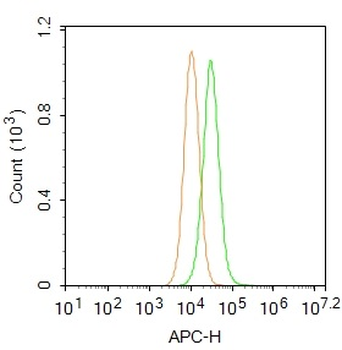 CD4 Rabbit Polyclonal Antibody (BF647)