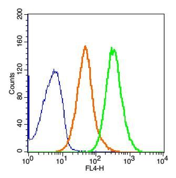 PRAME Rabbit Polyclonal Antibody (BF647)