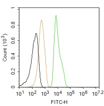 PPAR gamma Rabbit Polyclonal Antibody (FITC)