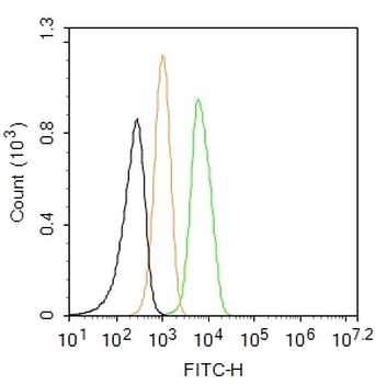 ZO-1/TJP1 Rabbit Polyclonal Antibody (FITC)