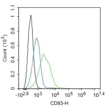 CD93 Rabbit Polyclonal Antibody