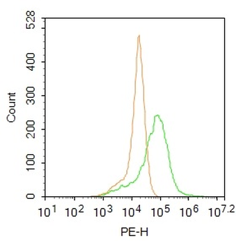 MUL1 Rabbit Polyclonal Antibody