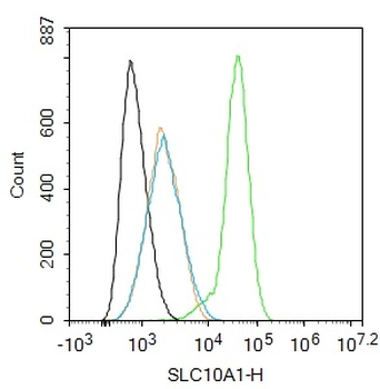 SLC10A1 Rabbit Polyclonal Antibody