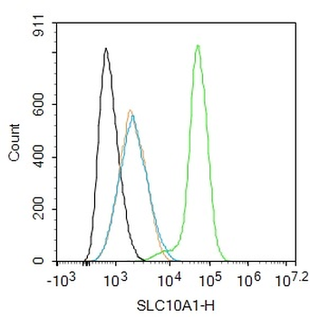 SLC10A1 Rabbit Polyclonal Antibody