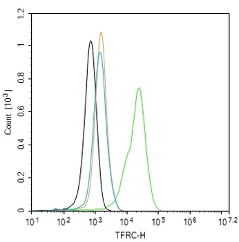 TFRC Rabbit Polyclonal Antibody
