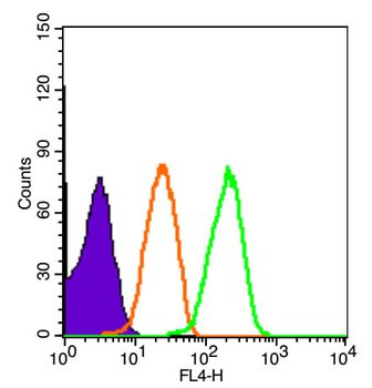 Beta Amyloid 1-16 Rabbit Polyclonal Antibody