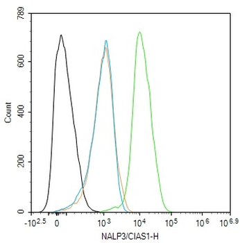 NALP3/CIAS1 Rabbit Polyclonal Antibody