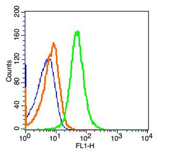 CD45 Rabbit Polyclonal Antibody