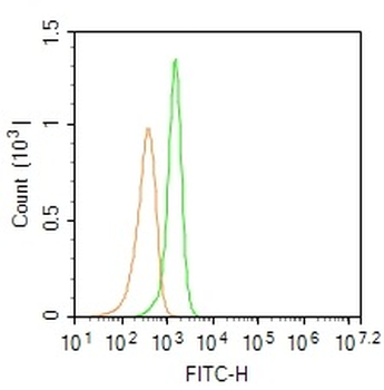 DNAH5 Rabbit Polyclonal Antibody