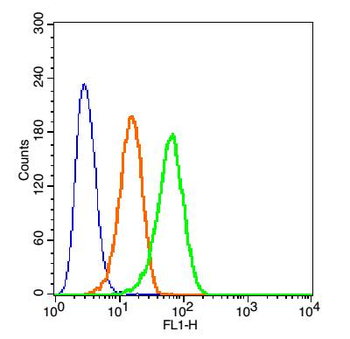 Beta Defensin 3 Rabbit Polyclonal Antibody