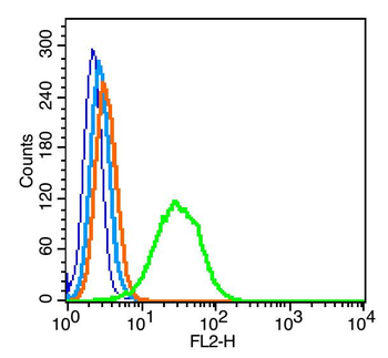 GPM6A Rabbit Polyclonal Antibody