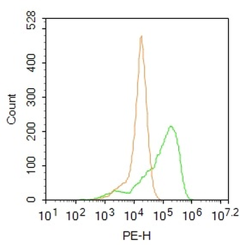 KAAG1 Rabbit Polyclonal Antibody