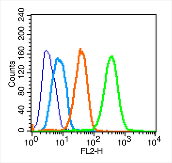 CD44v3 Rabbit Polyclonal Antibody