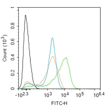 SOD1 Rabbit Polyclonal Antibody