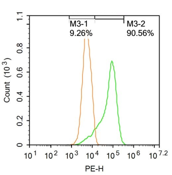SOD1 Rabbit Polyclonal Antibody