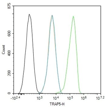 TRAP5 Rabbit Polyclonal Antibody