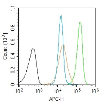 CAF1p55/VPRBP Rabbit Polyclonal Antibody
