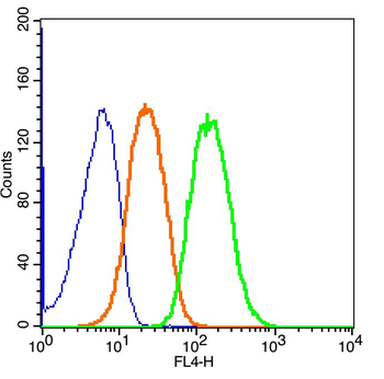 TTF1/NKX2-1 Rabbit Polyclonal Antibody