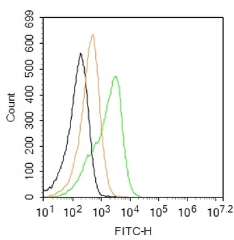 CD45 Rabbit Polyclonal Antibody (FITC)