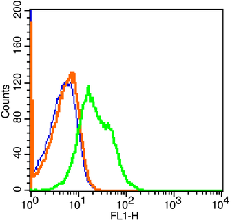 CD45 Rabbit Polyclonal Antibody (FITC)