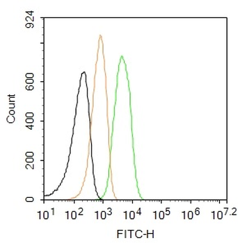 Cardiac Troponin T Rabbit Polyclonal Antibody (FITC)