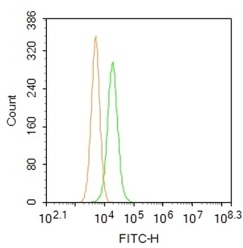 DNAH5 Rabbit Polyclonal Antibody (FITC)