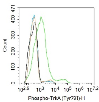 Phospho-TrkA (Tyr791) Rabbit Polyclonal Antibody