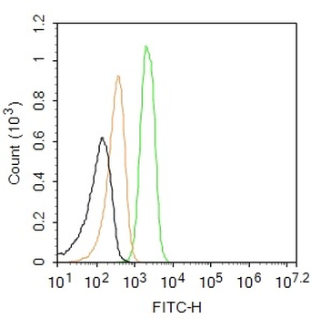 KPNA2 Rabbit Polyclonal Antibody (FITC)