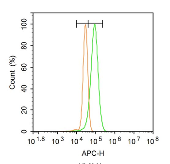 ILDR1 Rabbit Polyclonal Antibody
