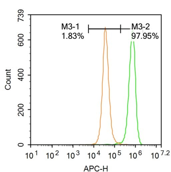 KLF2 Rabbit Polyclonal Antibody