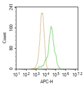 NDUFA9 Rabbit Polyclonal Antibody