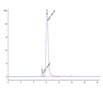 Recombinant human ErbB3 / Her3 protein, C-His-Avi (HEK293), Biotin conjugated