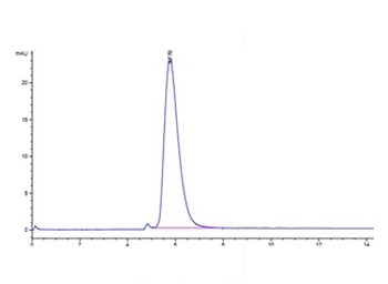 Recombinant Cyn. monkey ACE2 protein, C-His-Avi (HEK293), Biotin conjugated