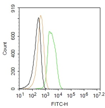 Galactosidase alpha Rabbit Polyclonal Antibody (BF488)