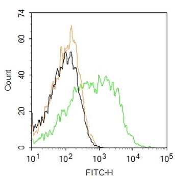 NPHS2 Rabbit pAb, BF488 conjugated