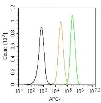 RIPK1 Rabbit Polyclonal Antibody (BF647)