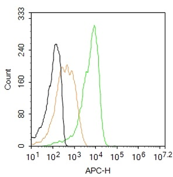 AQP2 Rabbit Polyclonal Antibody (BF647)